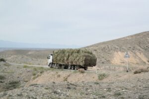 Mengendalikan Truk ODOL dari Gerbang Kawasan Industri